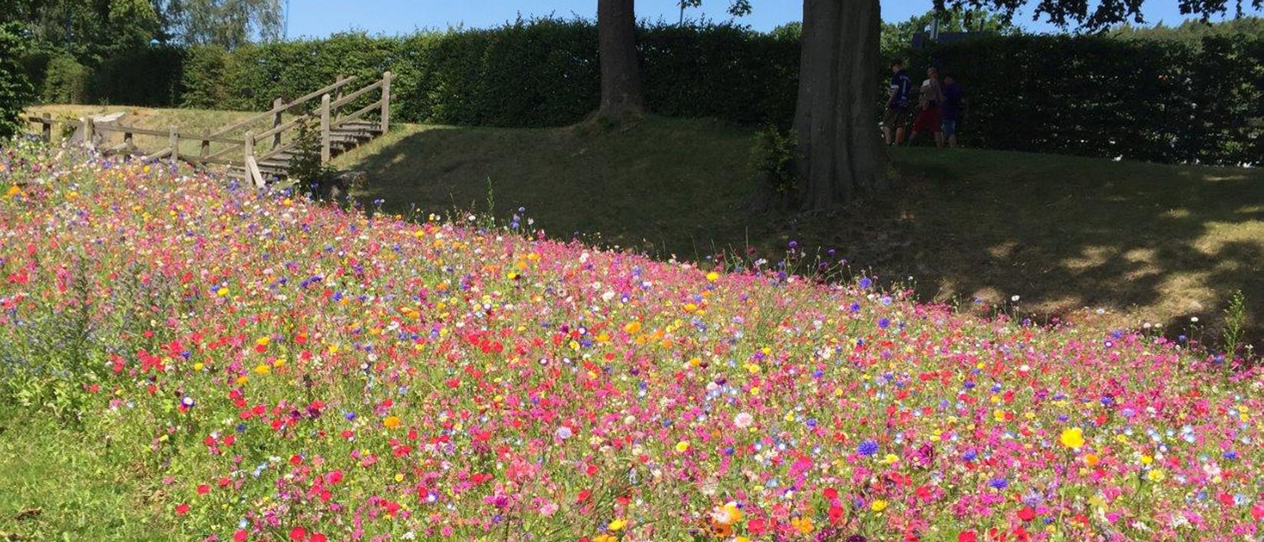 Foto: Kurverwaltung Baabe